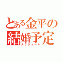 とある金平の結婚予定（スケジュール）