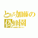 とある加藤の偽蜂園（水飴増量で固まらない）