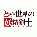 とある世界の妖精剣士（キリト）