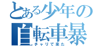とある少年の自転車暴走（チャリで来た）