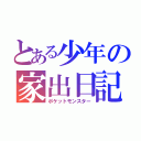 とある少年の家出日記（ポケットモンスター）