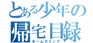 とある少年の帰宅目録（ホームカミング）