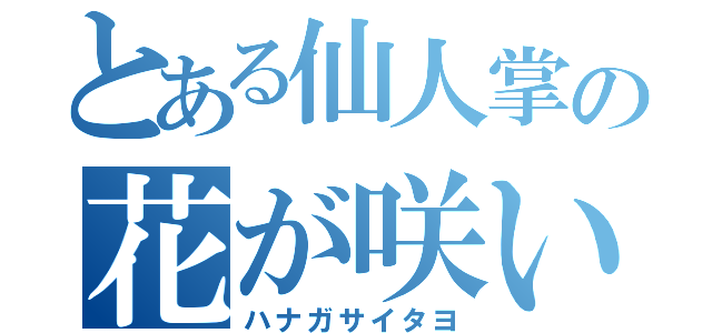 とある仙人掌の花が咲いたよ（ハナガサイタヨ）