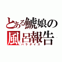 とある鯱娘の風呂報告（パラダイス）