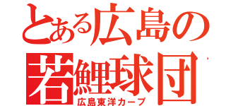 とある広島の若鯉球団（広島東洋カープ）