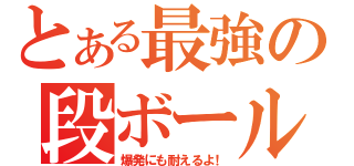 とある最強の段ボール（爆発にも耐えるよ！）