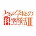 とある学校の科学部活Ⅱ（ヤルキナイブカツ）