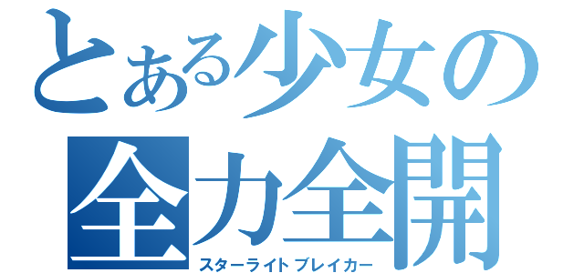 とある少女の全力全開（スターライトブレイカー）