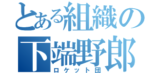 とある組織の下端野郎（ロケット団）