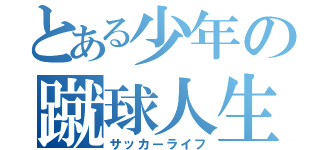 とある少年の蹴球人生（サッカーライフ）