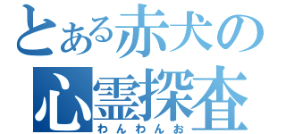 とある赤犬の心霊探査（わんわんお）