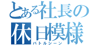 とある社長の休日模様（バトルシーン）