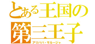 とある王国の第三王子（アリババ・サルージャ）