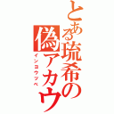 とある琉希の偽アカウント（インヨウツベ）