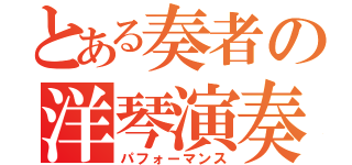 とある奏者の洋琴演奏（パフォーマンス）