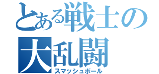 とある戦士の大乱闘（スマッシュボール）