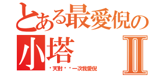 とある最愛倪の小塔Ⅱ（每天對你說一次我愛倪）