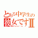 とある中学生の彼女ですⅡ（嘘だよぉーん）