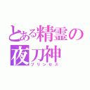 とある精霊の夜刀神（プリンセス）