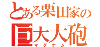 とある栗田家の巨大大砲（マグナム）