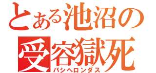 とある池沼の受容獄死（パシヘロンダス）