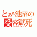 とある池沼の受容獄死（パシヘロンダス）