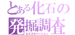 とある化石の発掘調査（エクスカベーション）