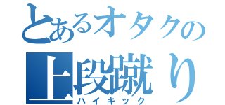 とあるオタクの上段蹴り（ハイキック）