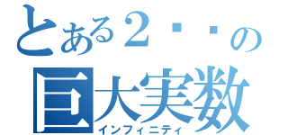 とある２¹⁰の巨大実数（インフィニティ）