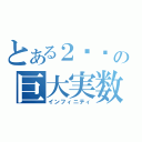 とある２¹⁰の巨大実数（インフィニティ）