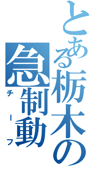 とある栃木の急制動（チーフ）