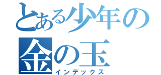 とある少年の金の玉（インデックス）