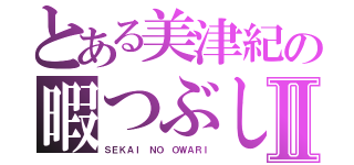 とある美津紀の暇つぶしⅡ（ＳＥＫＡＩ ＮＯ ＯＷＡＲＩ）