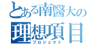 とある南醫大の理想項目（プロジェクト）