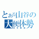 とある山谷の大便体勢（Ｍ字開脚）