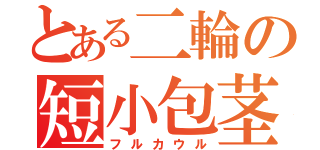 とある二輪の短小包茎（フルカウル）