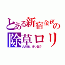 とある新宿金夜の除草ロリ（丸井姉、多い謎？）