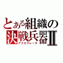 とある組織の決戦兵器Ⅱ（アクセラレータ）