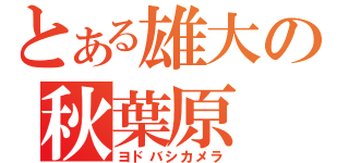 とある雄大の秋葉原（ヨドバシカメラ）