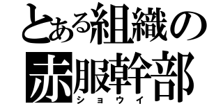 とある組織の赤服幹部（ショウイ）