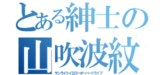 とある紳士の山吹波紋（サンライトイエローオーバードライブ）