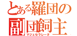 とある羅団の副団飼主（マジェセラレータ）