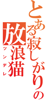 とある寂しがりの放浪猫（ツンデレ）