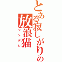 とある寂しがりの放浪猫（ツンデレ）