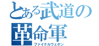 とある武道の革命軍（ファイナルウェポン）