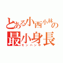 とある小西小林の最小身長ケモノ狩中毒（モンハン中）