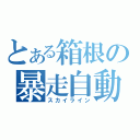 とある箱根の暴走自動車（スカイライン）