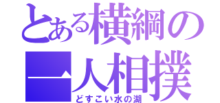 とある横綱の一人相撲（どすこい水の湖）