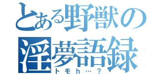 とある野獣の淫夢語録（トモｈ…？）