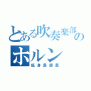 とある吹奏楽部のホルン（低身長部長）